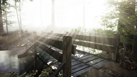 mystical old wooden bridge in the fog