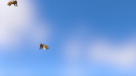 bees gracefully flying against a clear sky