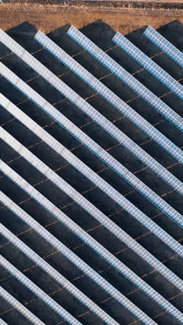 drone flying around solar power plant. autumn field with rows of solar panels at sunset. vertical video