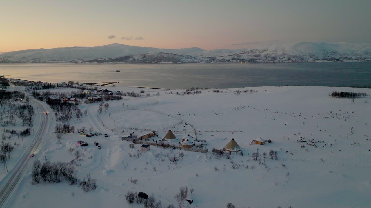 manada de renos en reserva nevada al atardecer naranja con montaña nevada y lago