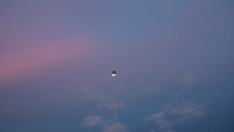 lamppost against the sky