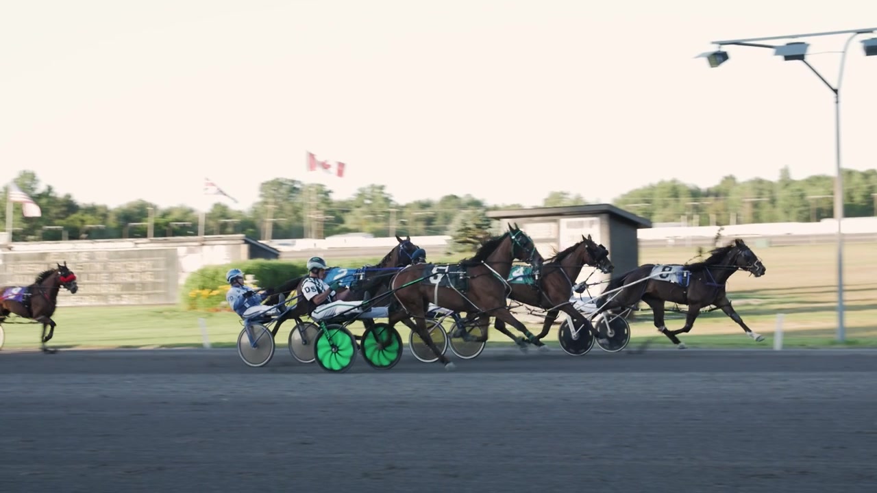 Corsa di bighe a Ottawa, Ontario, Canada