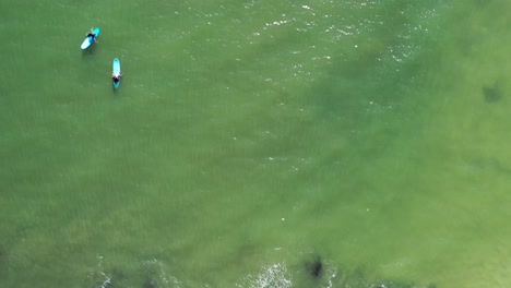 un dron de arriba hacia abajo disparó sobre los surfistas en sus tablas esperando la ola perfecta