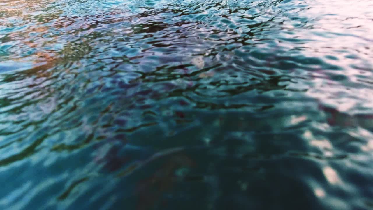 Alimentazione dei pesci in un lago blu profondo nel Parco Nazionale di Khao Sok a Surat Thani, Thailandia - Campo medio