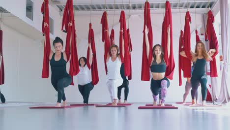 concentrated ladies practice warrior asana holding hammocks