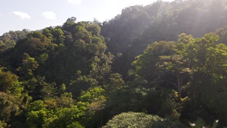 Lush-forest-and-mountains-of-Jaco,-Costa-Rica