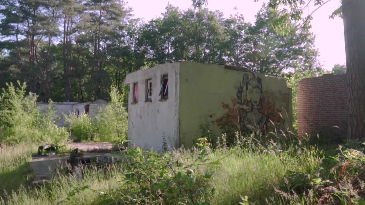 그래피티가 있는 숲 속의 버려진 건물