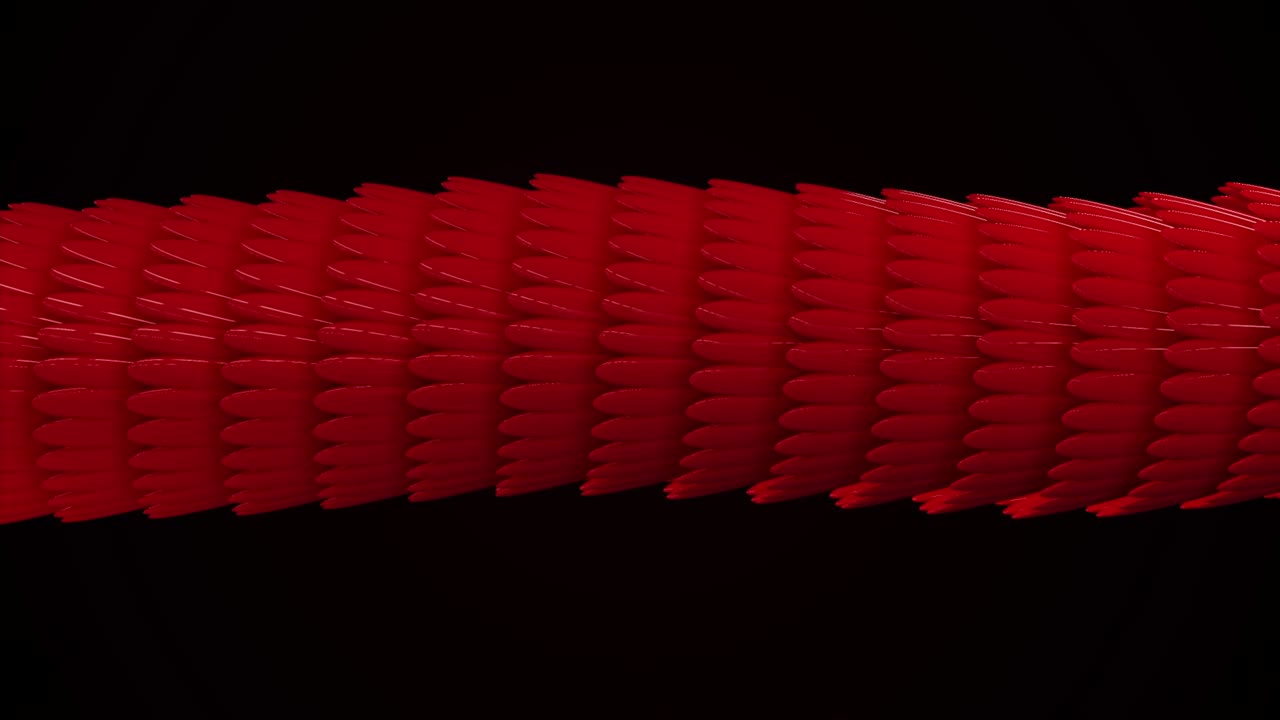 매끄럽고 밝은 파동 모양, 반이는 반이는 비늘, 다채로운 3d 반이는  또는 드래곤 비늘의 추상적인 애니메이션이 검은 바탕에 부드럽게 움직입니다.