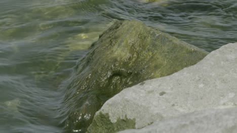 lakeside rippling water moment in summer