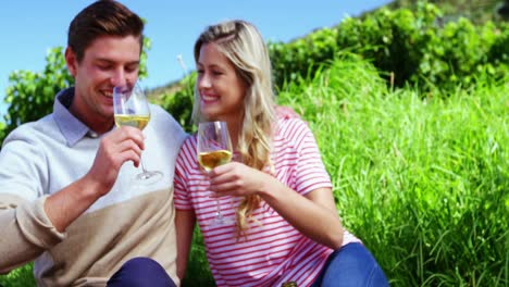 pareja feliz tomando vino en el viñedo