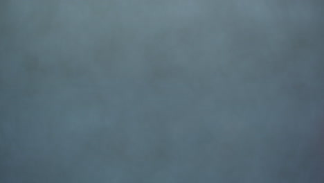 blurred gray-blue background