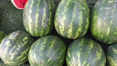 watermelons