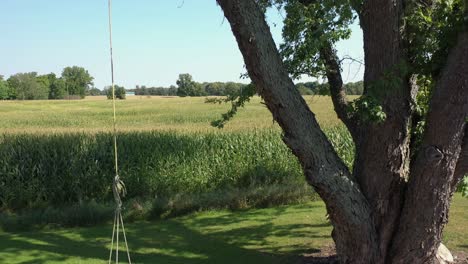 4K Tire Swing and Farm