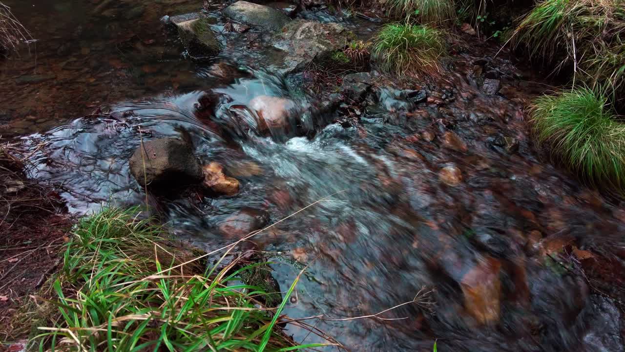 Flowing clear stream between stones in the forest surrounded by banks with grass
