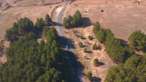 conducción de automóviles a través del bosque en un disparo de dron de montaña