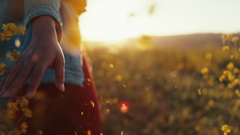 mano, al aire libre y flores en primer plano