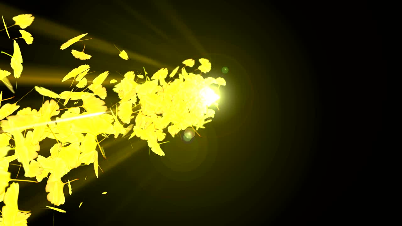 가을 잎의 스핀, 고, cg 애니메이션, 루프