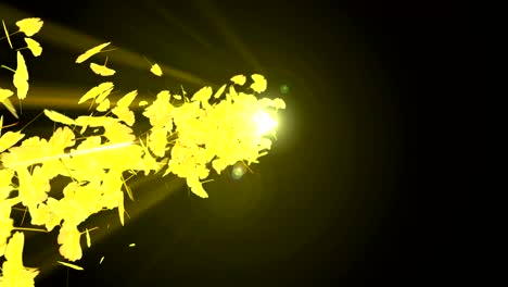 el giro de las hojas de otoño, ginkgo, animación cg, bucle