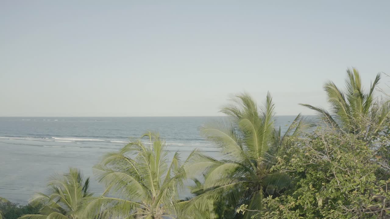 Aerial view of Palm trees overlooking the ocean off the coast of Kenya