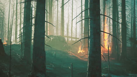 un bosque envuelto en llamas que muestra las secuelas de un incendio forestal