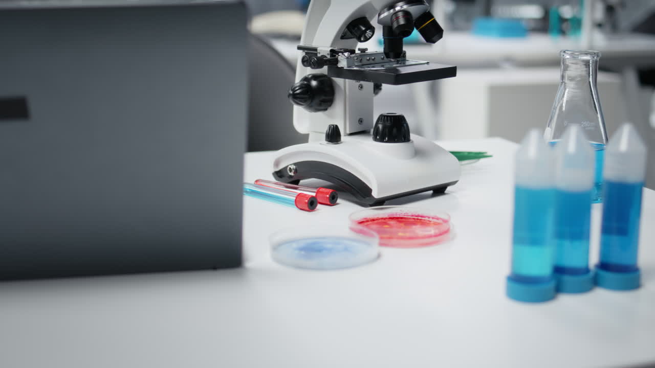 Close up of petri dishes in laboratory containing antibiotic discs