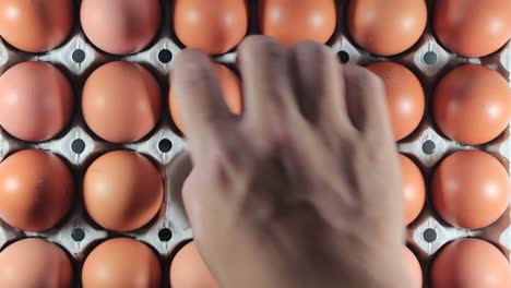 selection of egg quality and fresh from the farm.