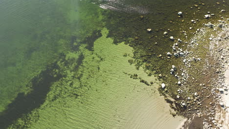 stillness of a transparent white beach in sweden during sunny day