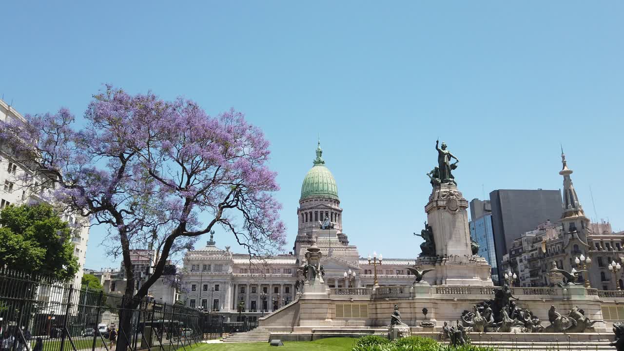 Landscape at Congressional plaza wth Jacarandá violet flower trees in bloom in Buenos Aires City, Argentina