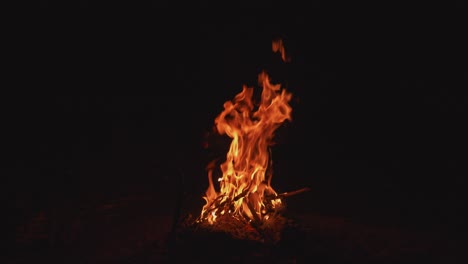 bonfire blazing outdoors in the night