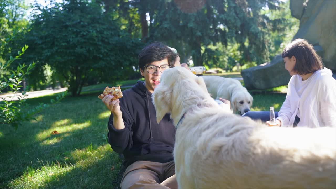 친구 들 이 개 와 함께 공원 에서 피크닉 을 즐기고 있다