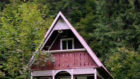 Tilt-up-shot-of-an-abandoned-wooden-house-in-the-woods