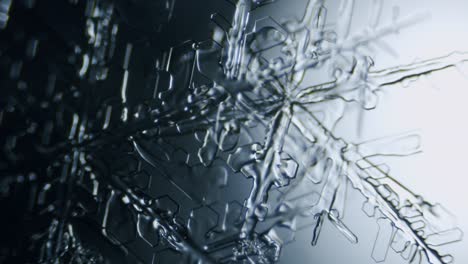 snowflake ice crystal stellar dendrite under microscope