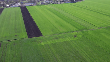 A-large-field-with-a-mix-of-green-and-brown-grass