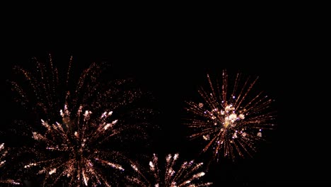 colores vibrantes de la celebración