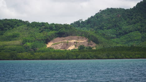 Entwaldetes-Waldgebiet-Auf-Der-Thailändischen-Tropischen-Insel-Koh-Samui