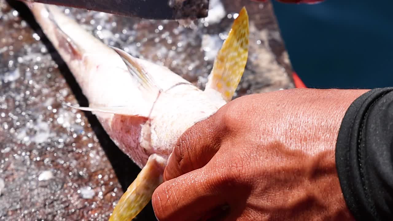 Extreme close-up of a fisherman's hands using a knife to scale fresh fish outdoors