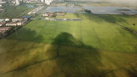 Espectáculo-Aéreo-Del-Anillo-De-Halo-Del-Arco-Iris-En-La-Nube-Sobre-Los-Arrozales