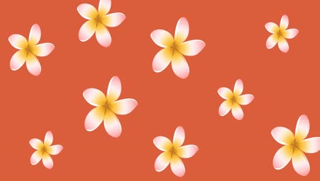 Animation-of-yellow-flowers-pulsating-in-formation-over-orange-background
