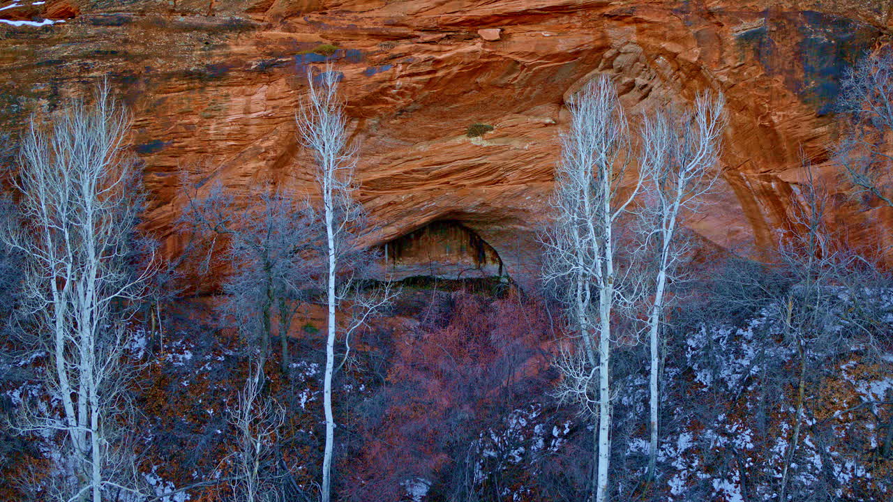 Sweeping aerial footage showcases the brilliant white aspen trees contrasting sharply with the rugged red rock canyon.