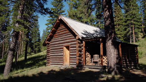 rustic log cabin in a pine forest