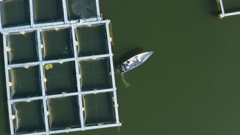 fisherman taking off on small motorboat at floating fish farms, aerial