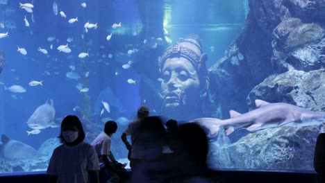 visitors observing fish in a large aquarium tank