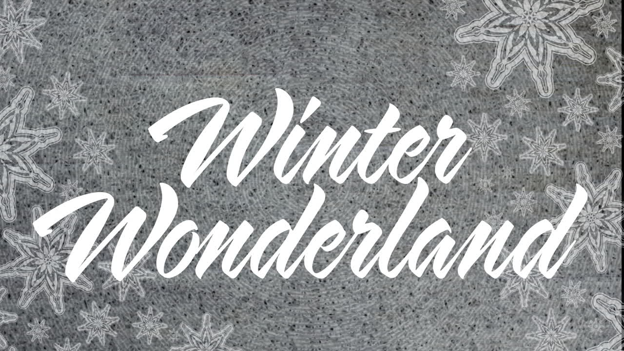 Animation of winter wonderland text over christmas decorations background