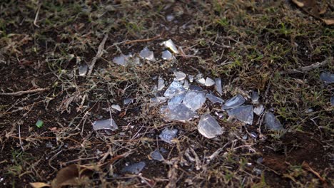 close up of shards of broken glass lying on the ground, glinting in the sun