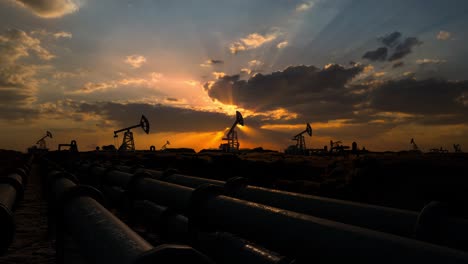 pipeline and working oil pump jacks in a against sunset extracting crude oil. pumping fossil oil is one of the methods of energy generation from renewable energy sources