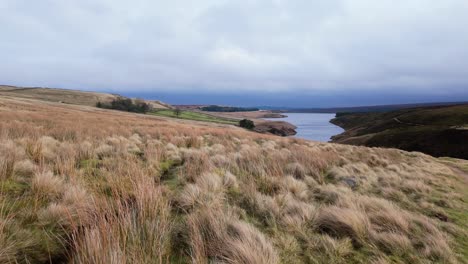 yorkshire moorlands op het engelse platteland