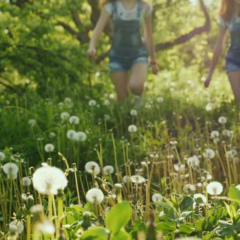 two carefree girls are running around in the field of dandelions