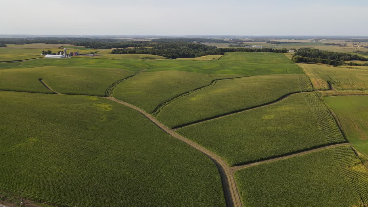 vista aérea de una granja en el sur de mn, campos de maíz durante el verano, medio oeste