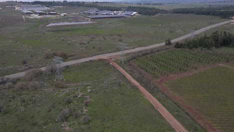 Drone-flyover-view-of-operating-cattle-farm-and-pastures,-Golan-Heights,-Israel