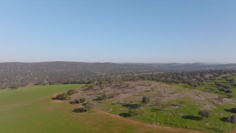 Wide-Grasslands-and-Countryside-in-Dehesa,-Spain